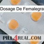 Femalegra Dosage 24